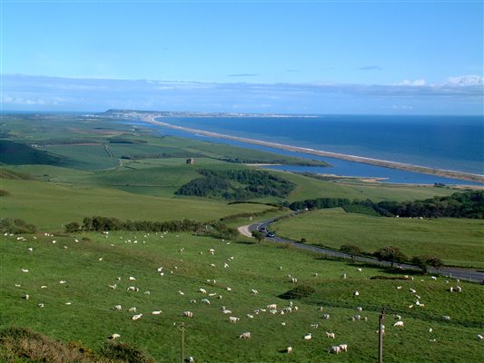 CHESIL BEACH FROM ABBOTSBURY HILL